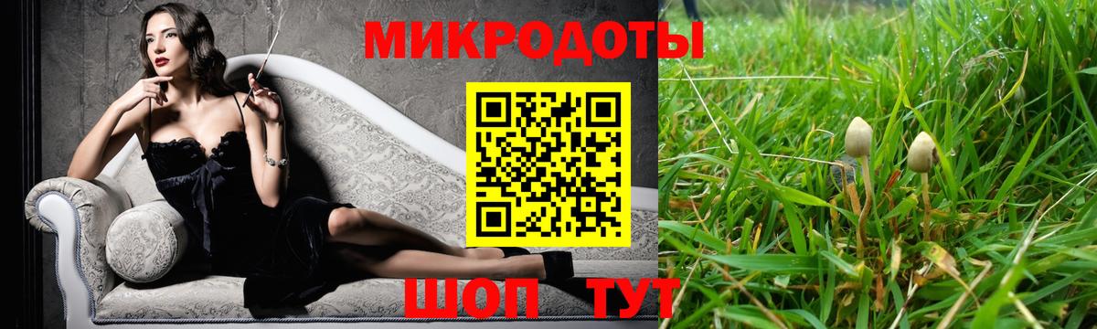 Псилоцибиновые грибы Psilocybine cubensis Иваново
